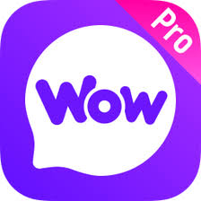 Wow Pro Alternative